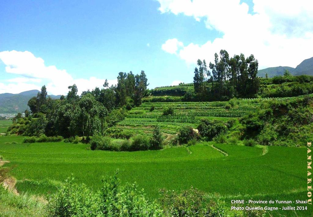 178 - Shaxi.JPG